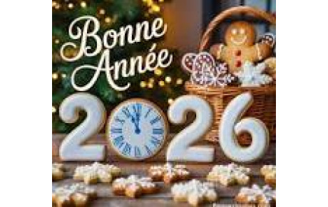 VOEUX DE LA BOULE SAINT MICHELOISE